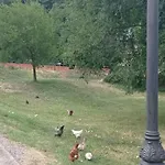 Albareda Apartamento