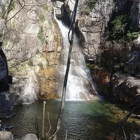 Albareda